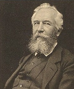 <b>...</b> Zoologe <b>Ernst Haeckel</b> (1834-1919) darin verschiedenste Organismen vor. - 12283v6-orig