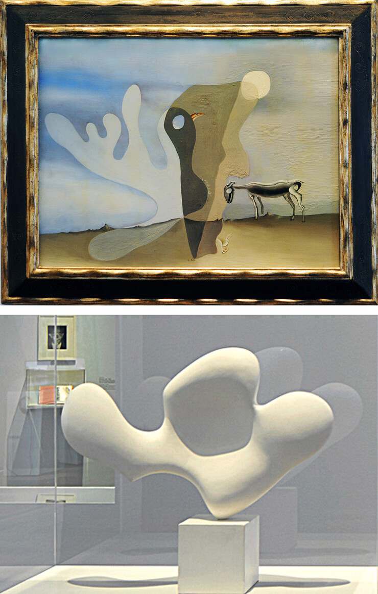 oben: Salvador Dalí, Die Spektralkuh, um 1928, Foto © Rainer K. Wick, unten: Hans Arp, Ruhendes Blatt, 1959, Foto © Mick Vincenz