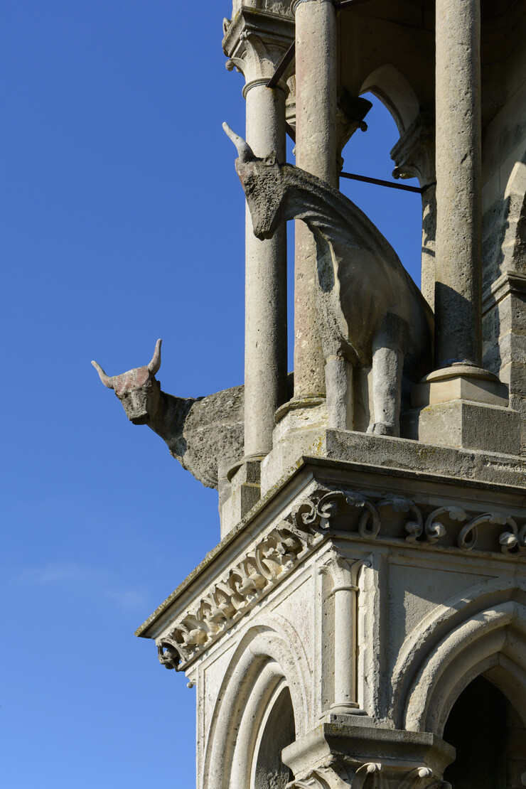Kathedrale von Laon: Zwei der Ochsen am Nordwestturm der Kathedrale Notre-Dame von Laon, Picardie, Frankreich © Wikimedia Commons